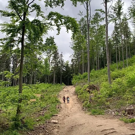 Apartament Dream Apart Ii 公寓 斯克拉斯卡波伦巴