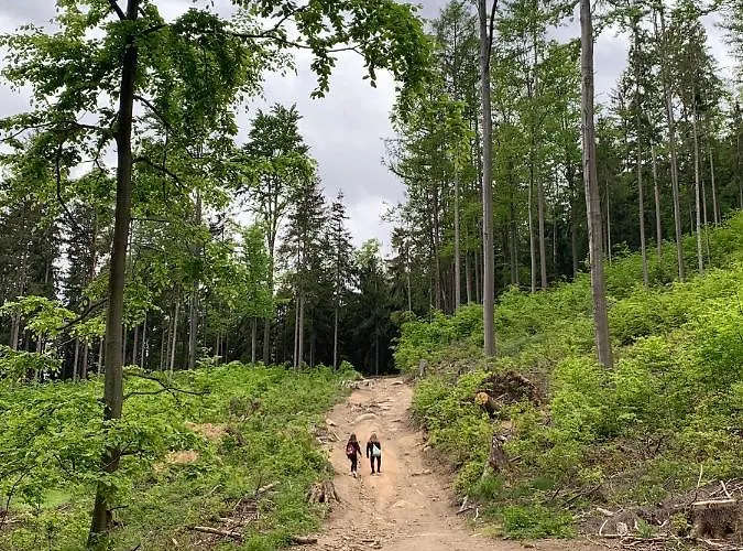 Apartament Dream Apart Ii Apartmán Sklářská Poruba